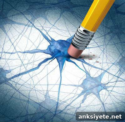 The image shows a neuron and a pencil.