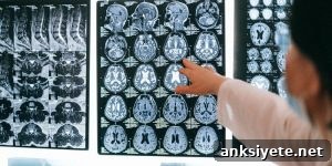 self-esteem and the brain