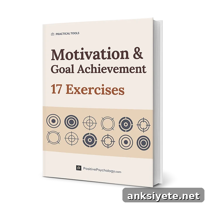 17 Motivation and Goal Achievement Tools
