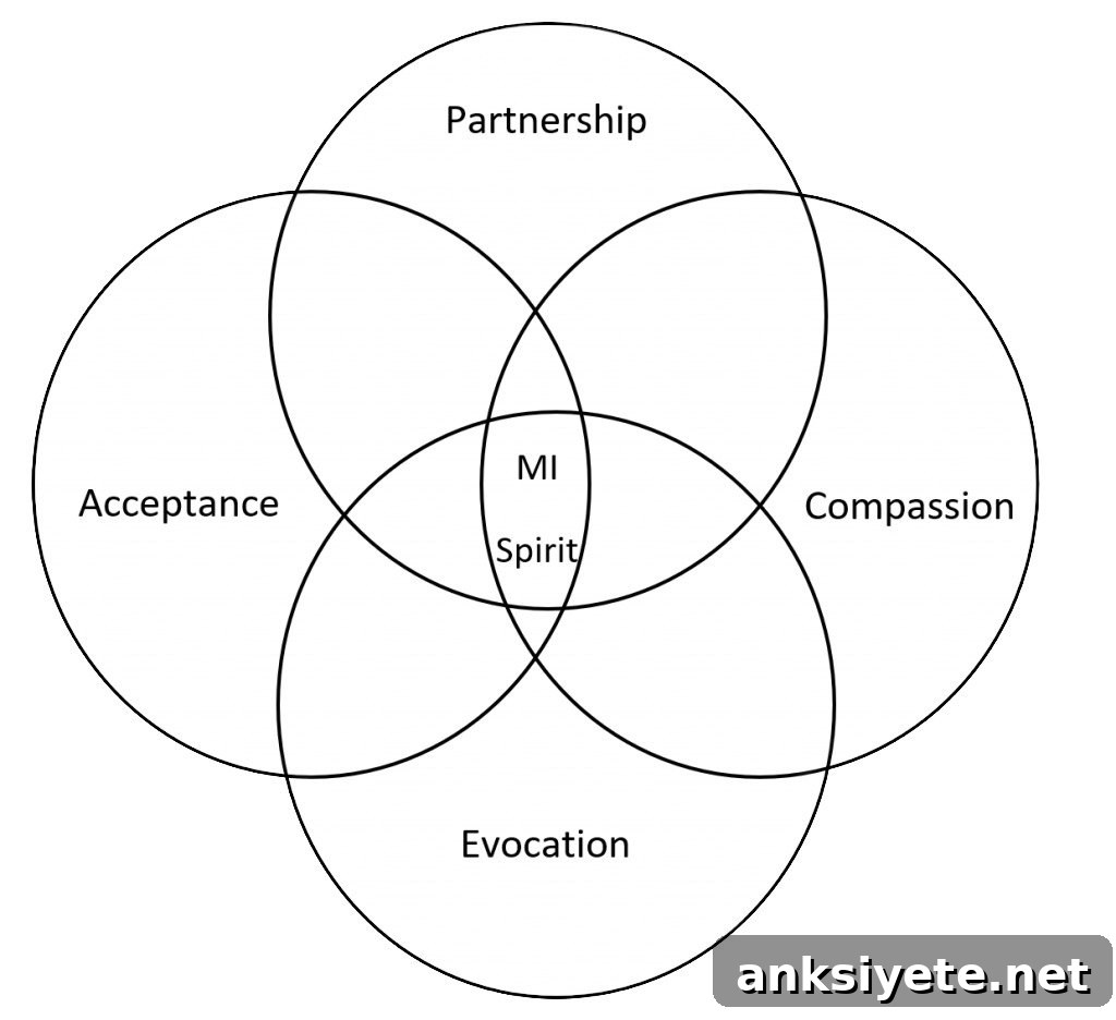 The Spirit of MI