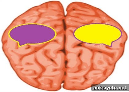 Brain illustration with speech bubbles