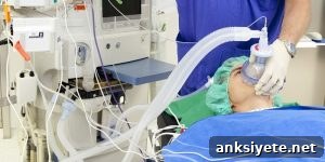 Consciousness Research