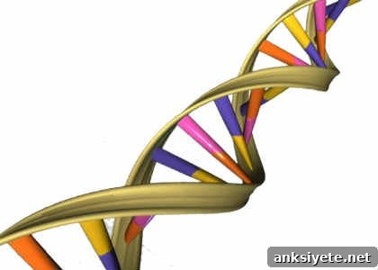 This is a DNA double helix.