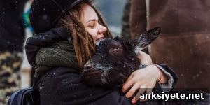 Emotional Support Animals