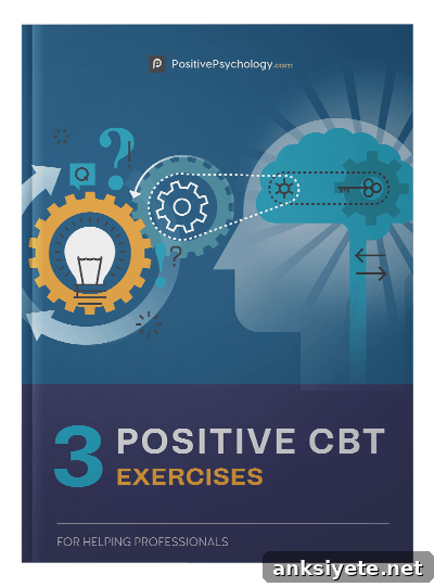 img 137335 3