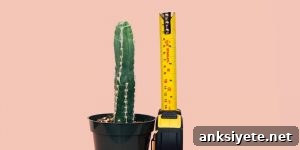 Measure assertiveness