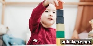 Training in Schema Therapy