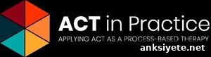 ACT in Practice