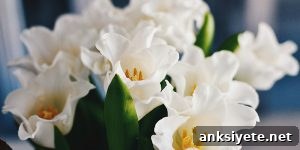 ""