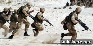 PTSD Treatment Options