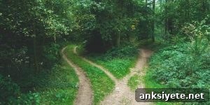 Counseling techniques