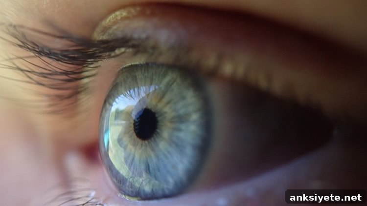 This image shows a blue eye.