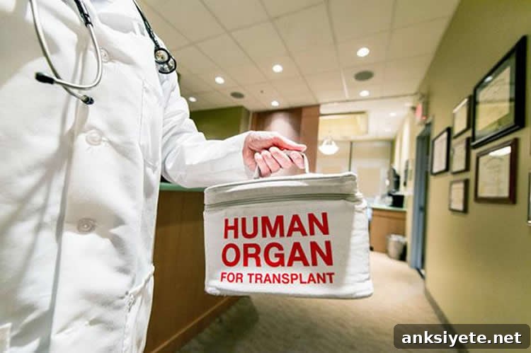 The image shows a person in a doctor coat holding an organ transplant bag.