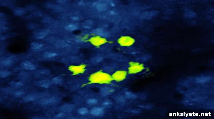 The image shows the neurons in the mouse cortex which were activated by light.