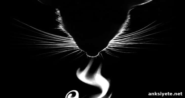 The image is a black and white drawing showing a rat's nose sniffing an odor. The odor is represented as a swirl.