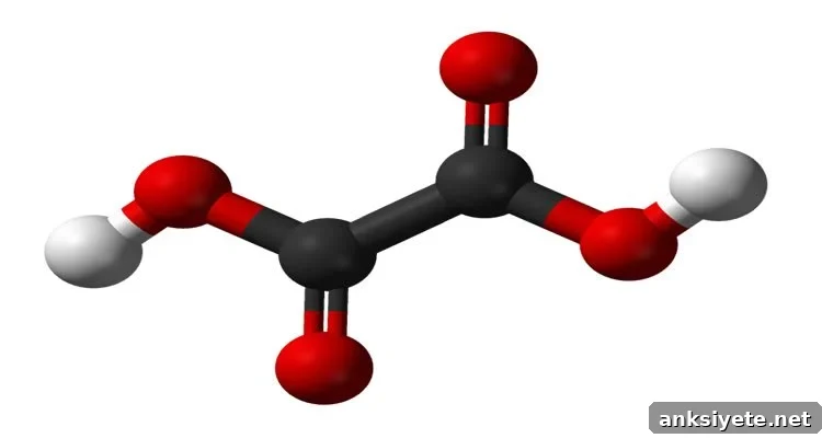 This image shows a ball and stick model of the oxalic acid molecule.