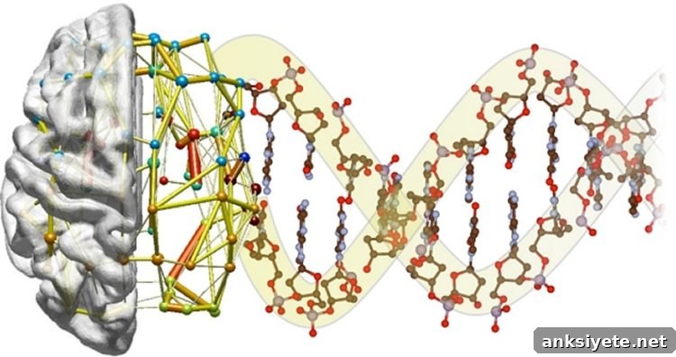 Half a brain with points representing a neural network connected to a DNA strand.