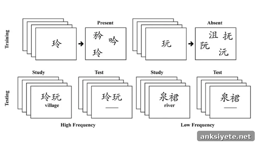 This image shows cards with different symbols on them.