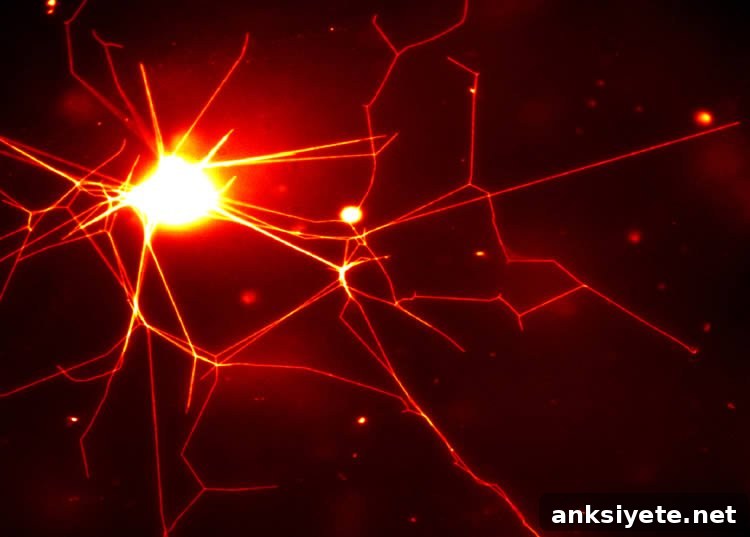 Image shows the nerve like assemblage of the polymer network.