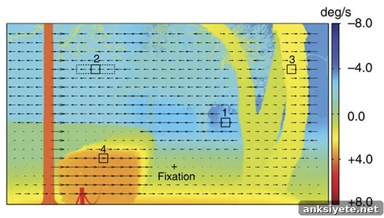 This shows a graph tracking the speed of retinal image motion.