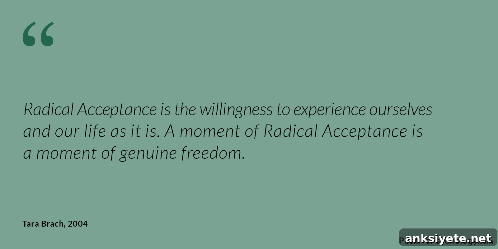 Experience Ourselves