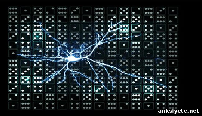 Single Neuron or Dendrite Detects Different Input Sequences