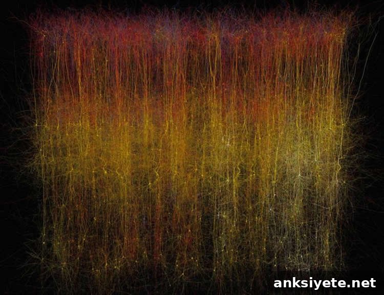 This is a photo of a virtual brain slice.