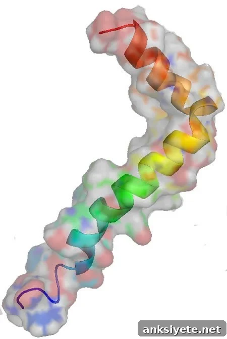 Image shows structure of amyloid beta.