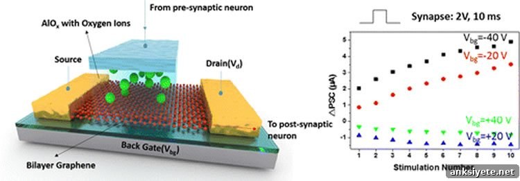 Diagram of the artificial synapse.