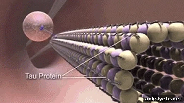 Image shows tau protein.