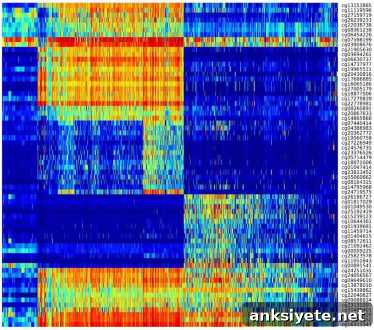 Image shows a DNA methylation heat map.
