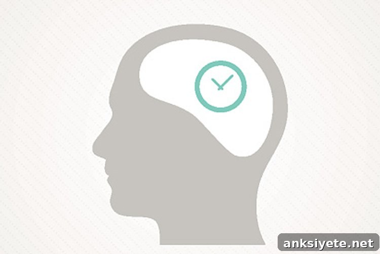 Outline of a head representing circadian and mood regulation