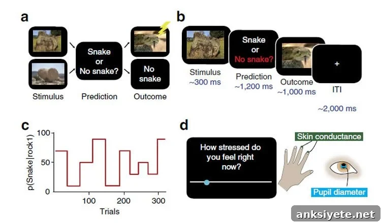Image outlines the experiment.