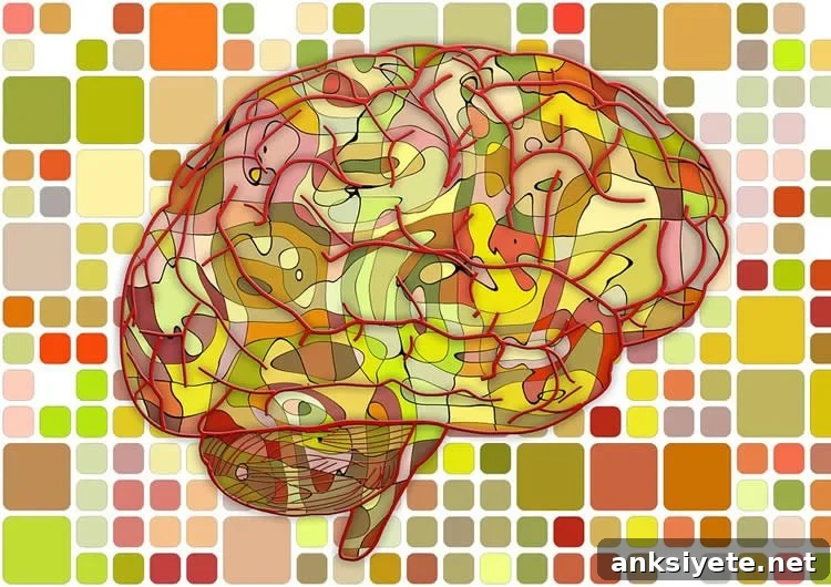 Image shows a brain.