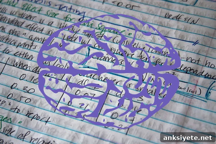 Image shows math work and a brain.