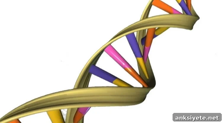 Study Links Gene Mutation to Psychiatric Disorders 2 Image shows a DNA double helix.