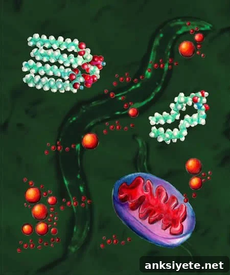 Can Certain Fats Protect Against Neurodegenerative Disease? 2 Image shows mitochondria.