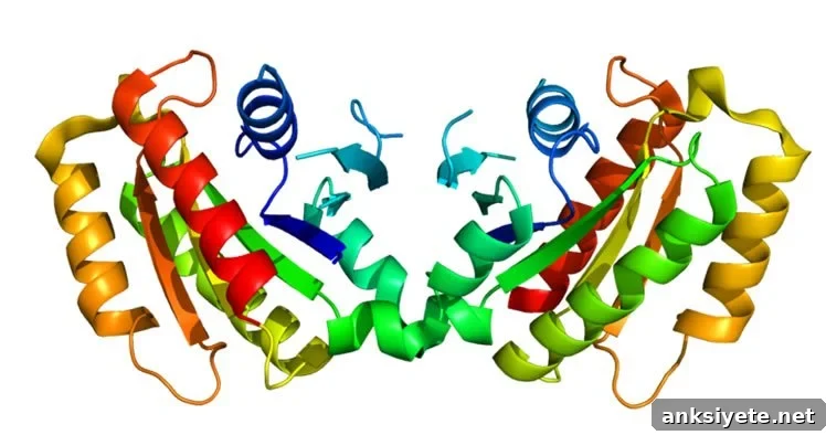 Researchers Discover New Cellular Disruption Driving Parkinson's 2 Image shows the structure of the LRRK2 protein.