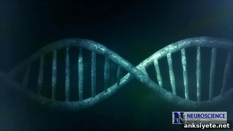 Image shows a DNA double helix.