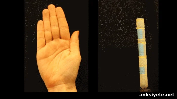 Image shows a thumb moving and the robot moving.