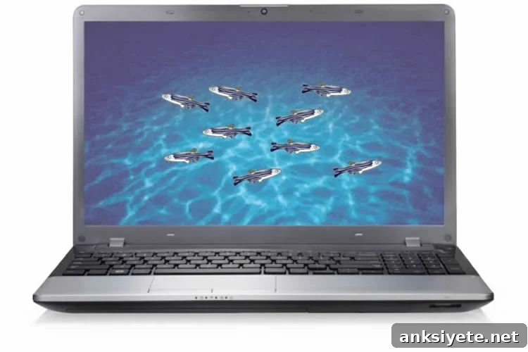 Image shows zebrafish on a computer.