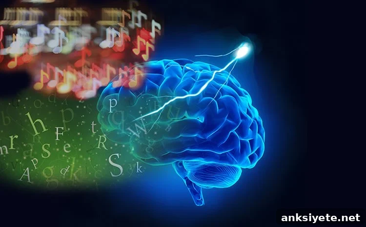 Image shows a brain, letters and musical notes.