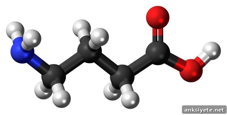 Chemical structure of GABA, a neurotransmitter implicated in schizophrenia.