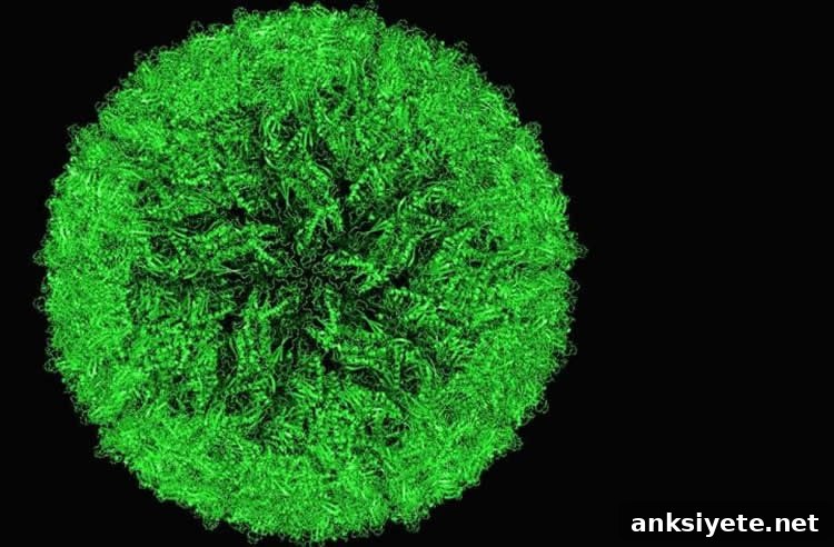 Image shows the Zika virus.