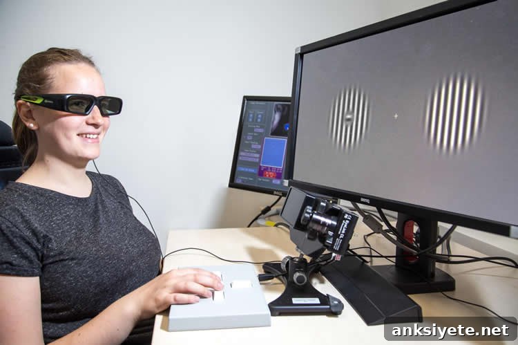 A participant looks at black and white striped circles on a computer screen during a study of blind-spot filling-in