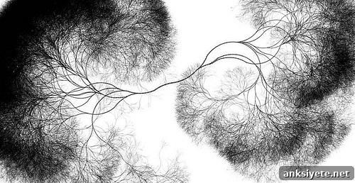 Neuron Internal Skeleton Movement Coordination