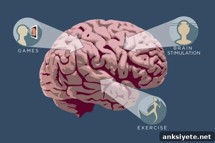 Image shows a brain.