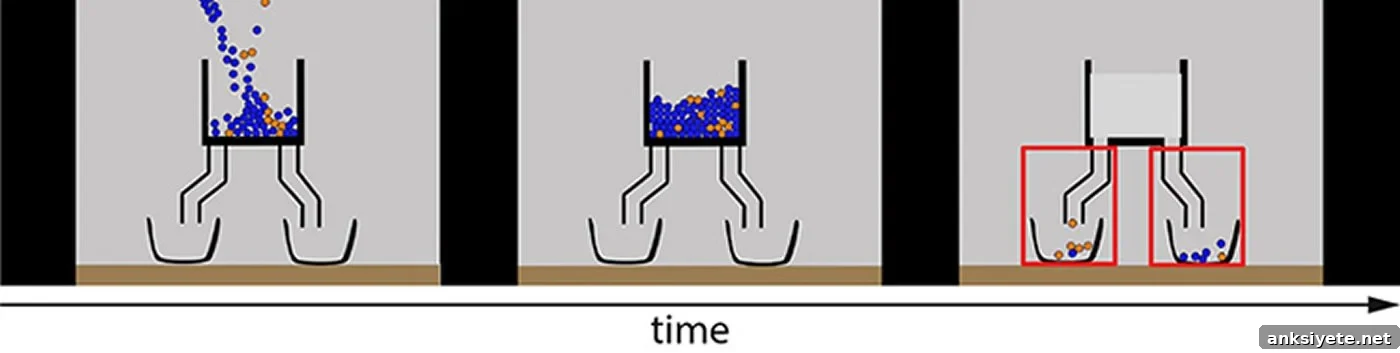 probability diagram