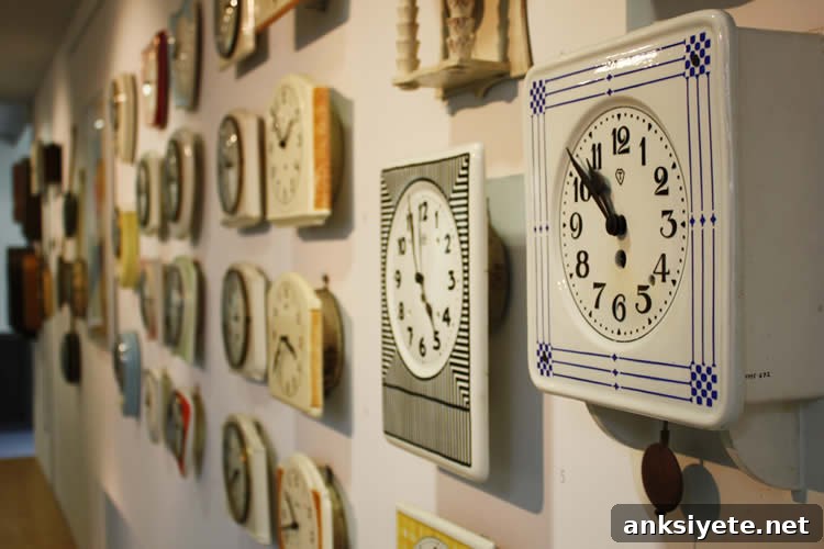 clocks are shown