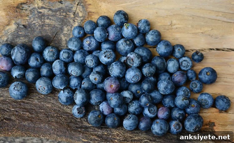 Blueberry Vinegar Restores Memory in Amnesic Mice 2 blueberries are shown